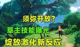 原神最新爆料草主,原神草主角色深度解析