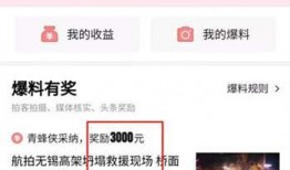榆树头条最新爆料,揭秘重大事件背后真相！