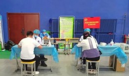 白鲨世冠爆料最新消息,最新赛事动态及幕后花絮大揭秘