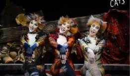 歌剧猫在线观看,在线观看，一场视觉与听觉的盛宴