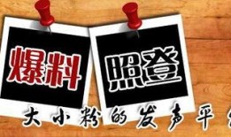 南宁当地新闻爆料平台官网,聚焦本地热点，解码城市脉搏