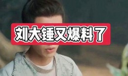 刘大锤最新爆料2023,揭秘娱乐圈惊天秘密