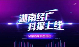 广西民间媒体爆料视频播放,神秘视频引发热议，揭秘背后真相