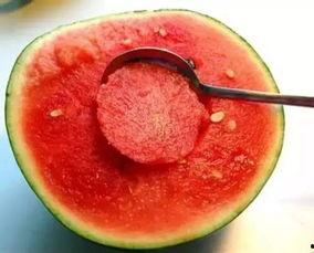 娱乐吃瓜酱江浙沪,揭秘娱乐圈幕后故事