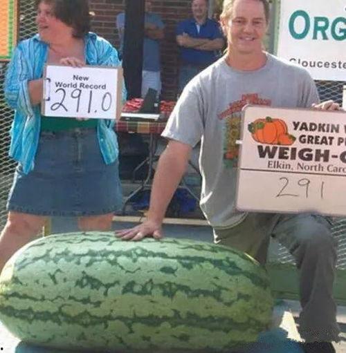 吃瓜群众在七零 穿书赵媛